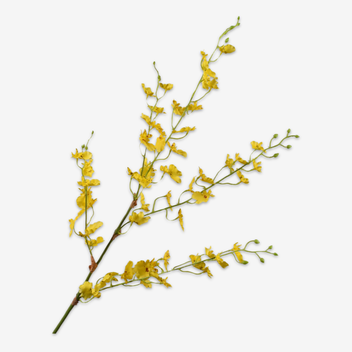zijden bloem oncidium geel