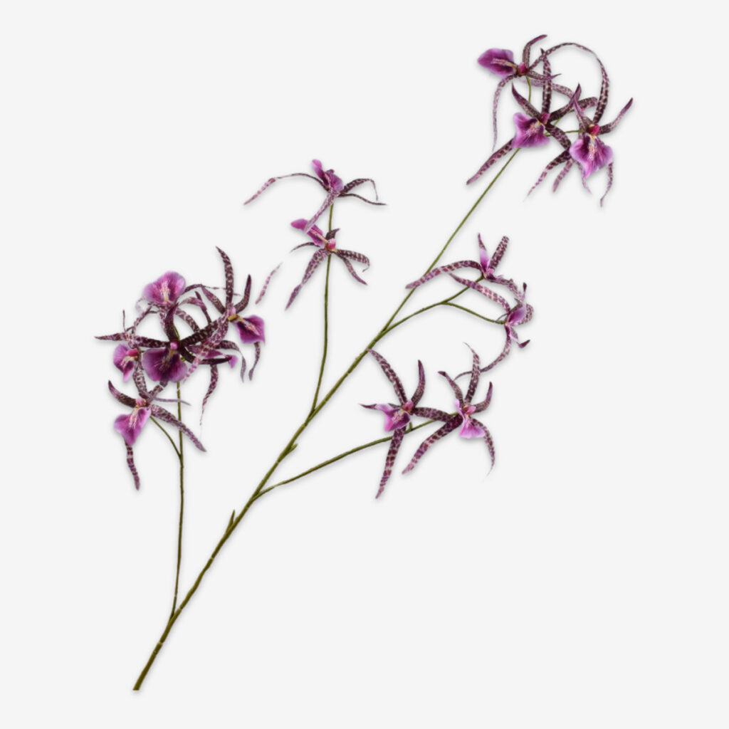 zijden bloem orchidee paars