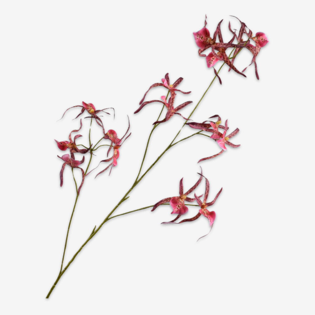 zijden bloem orchidee beauty