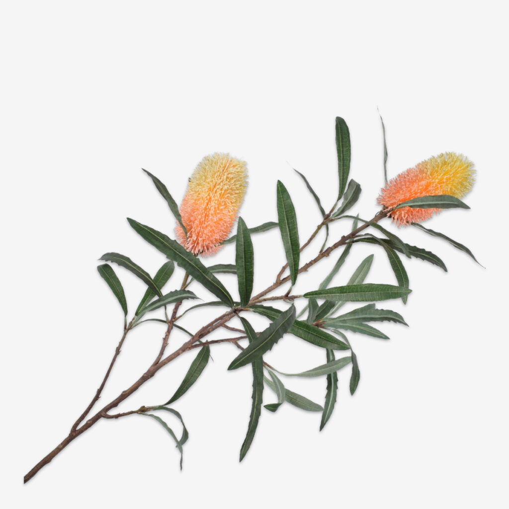 zijden bloem protea oranje