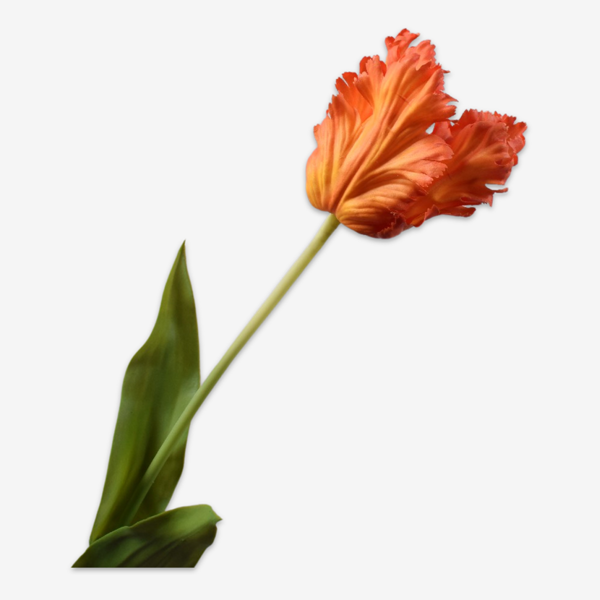 zijden bloem tulp oranje
