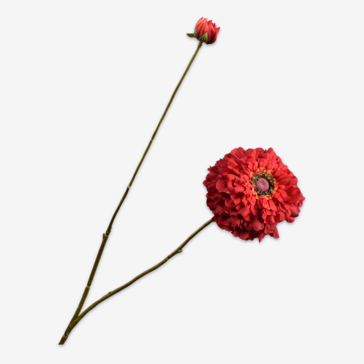 zijden bloem zinnia rood