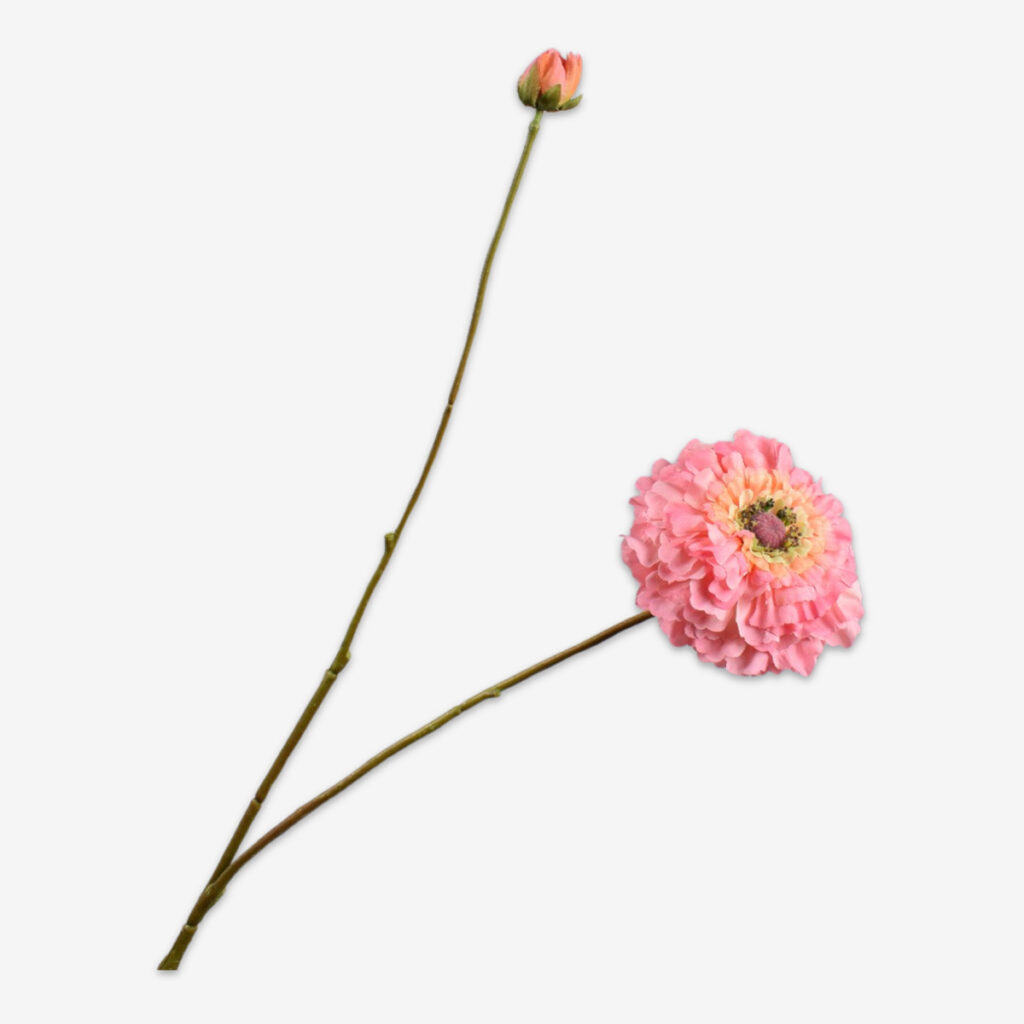 zijden bloem zinnia perzik