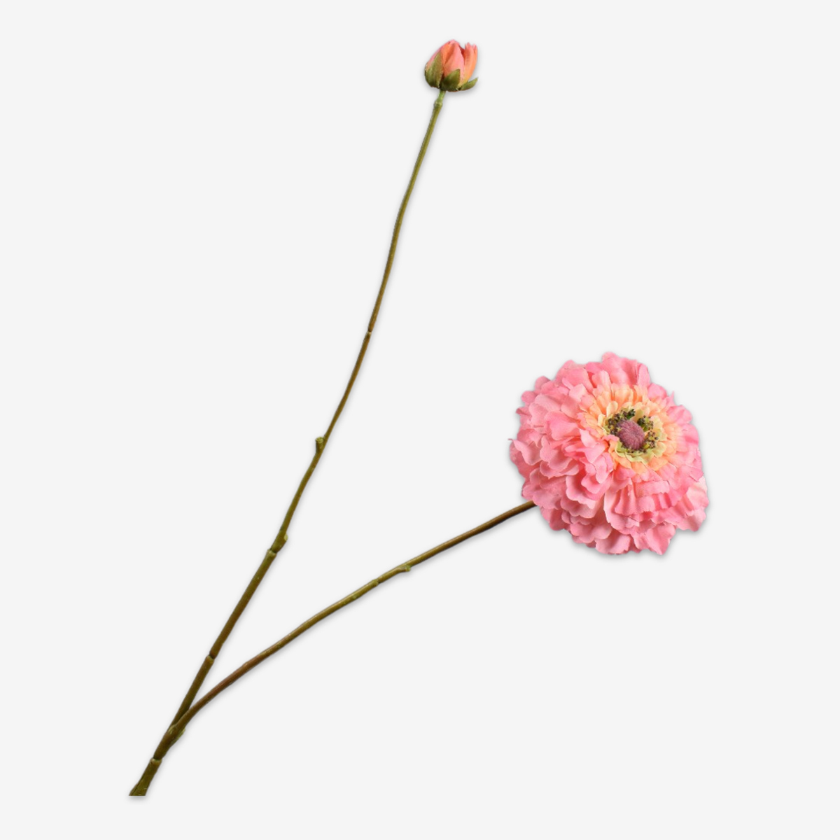 zijden bloem zinnia perzik