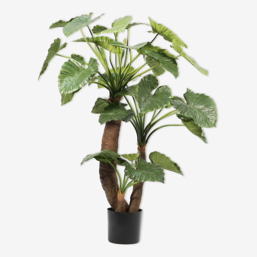 zijden plant alocasia groen