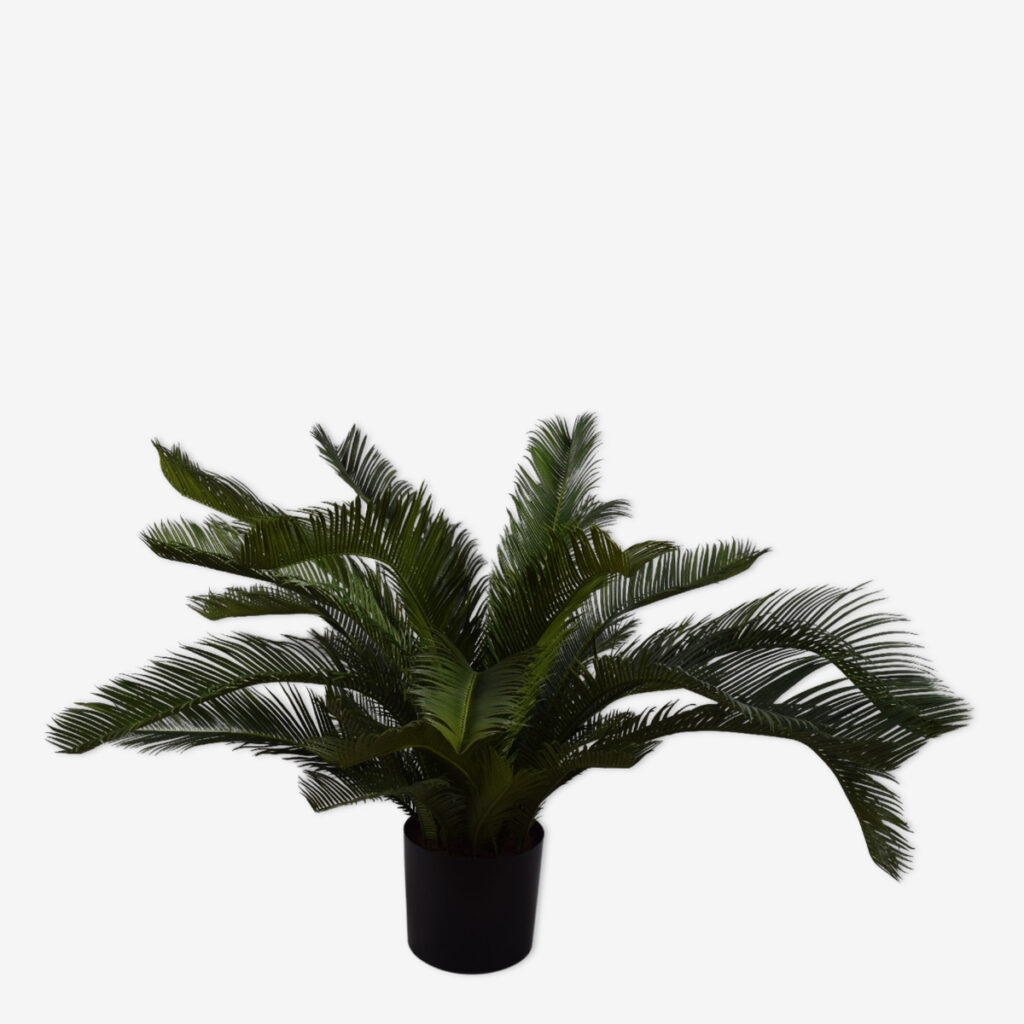 zijden plant palm