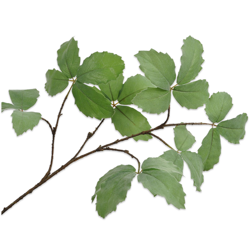 zijden bladtak groen