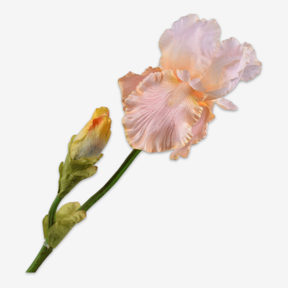 zijden bloem iris perzik