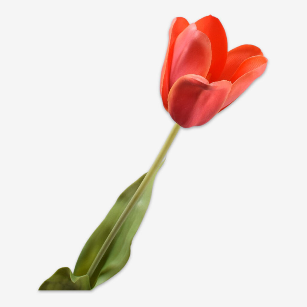 zijden bloem tulp oranje