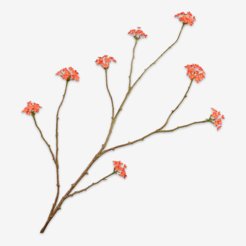 zijden bloem bloesem oranje