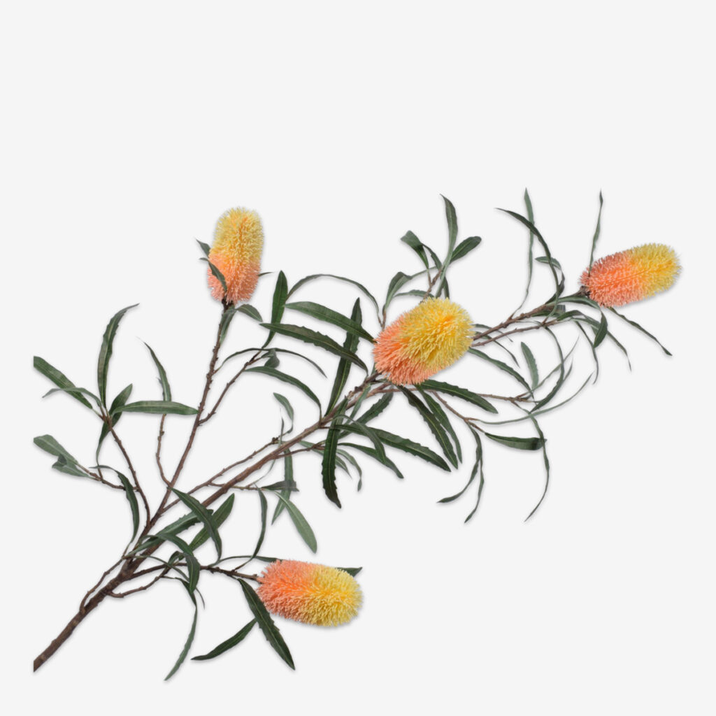 zijden bloem protea oranje