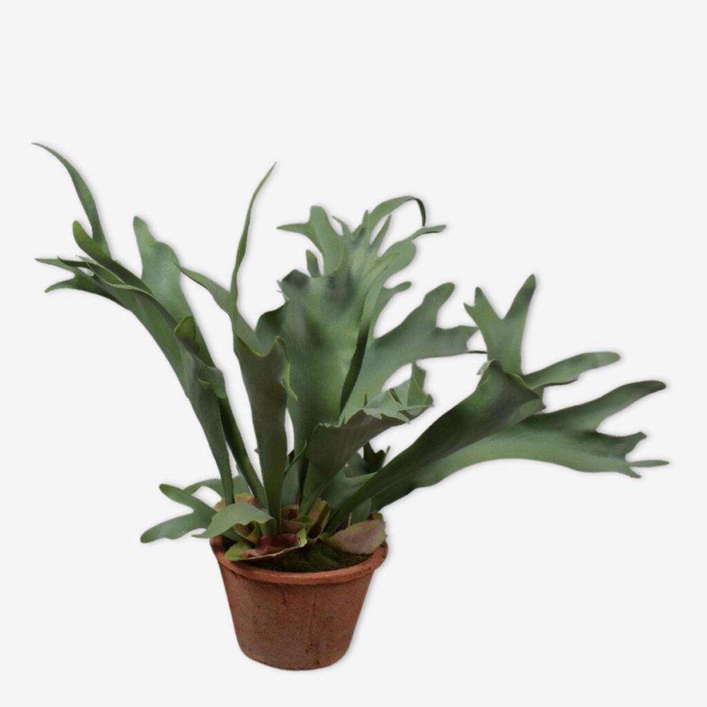 zijden plant hertshoorn groen