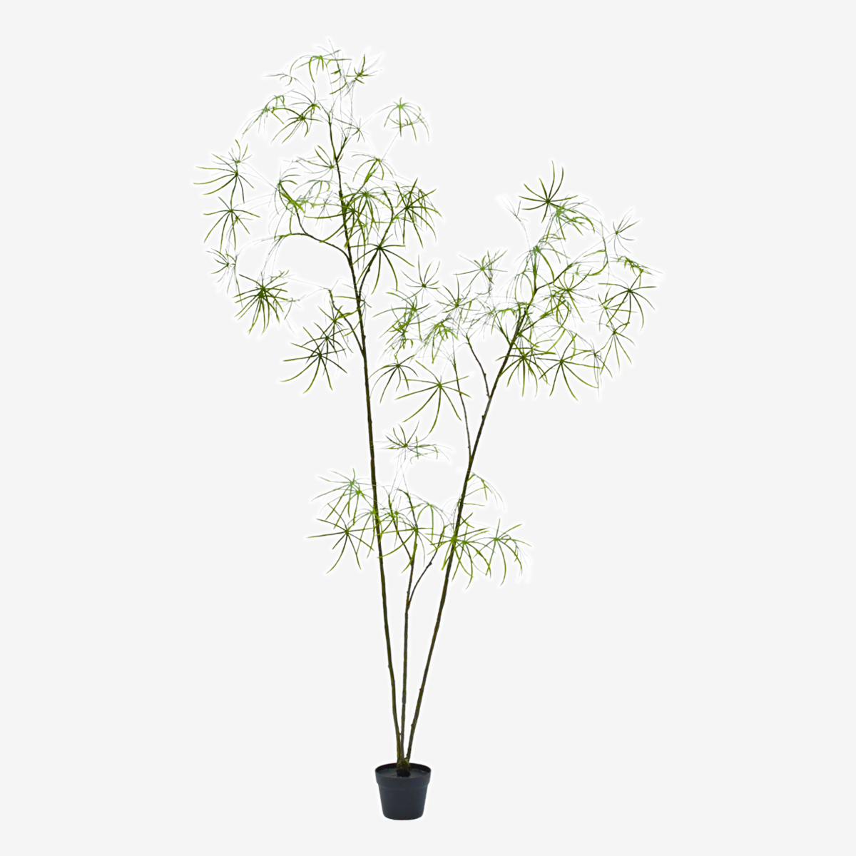 zijden plant schefflera groen