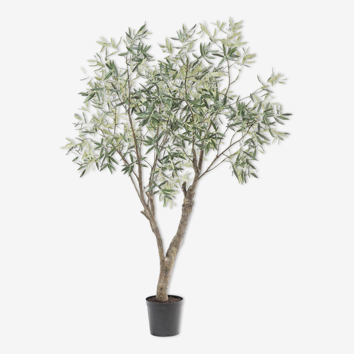 zijden plant olijfboom groen