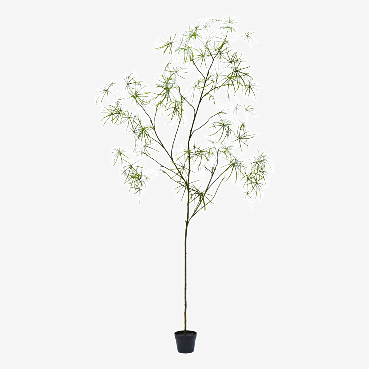 zijden plant schefflera groen