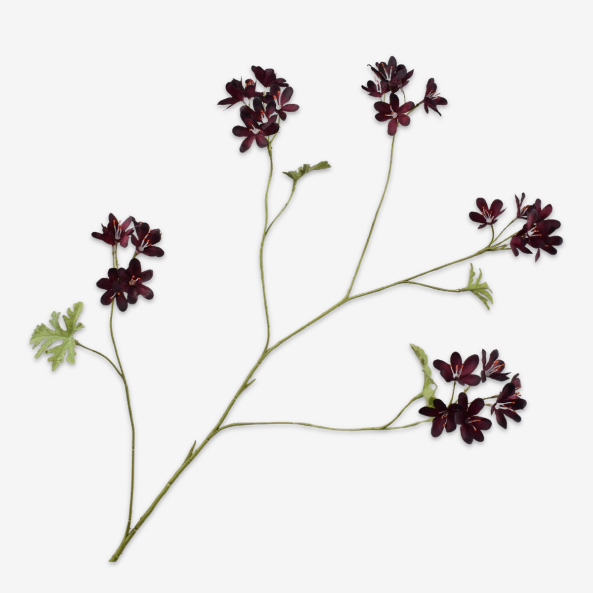 sk zijden bloem geranium bordeaux 160646