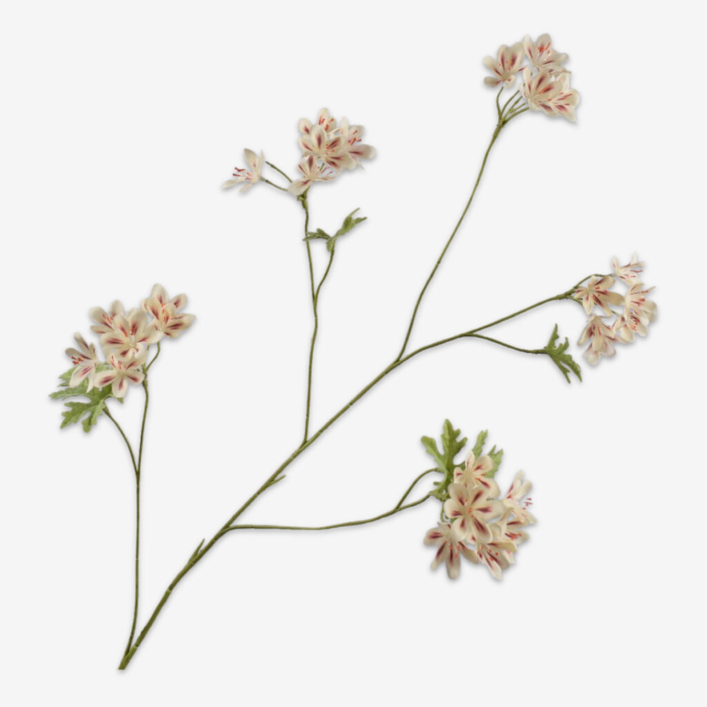 sk zijden bloem geranium creme 160643