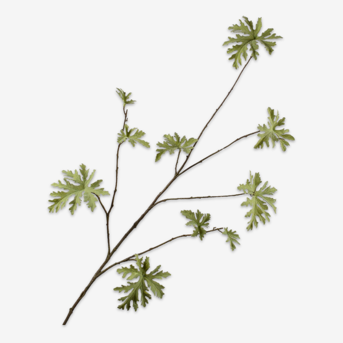 sk zijden bloem geranium groen 160151