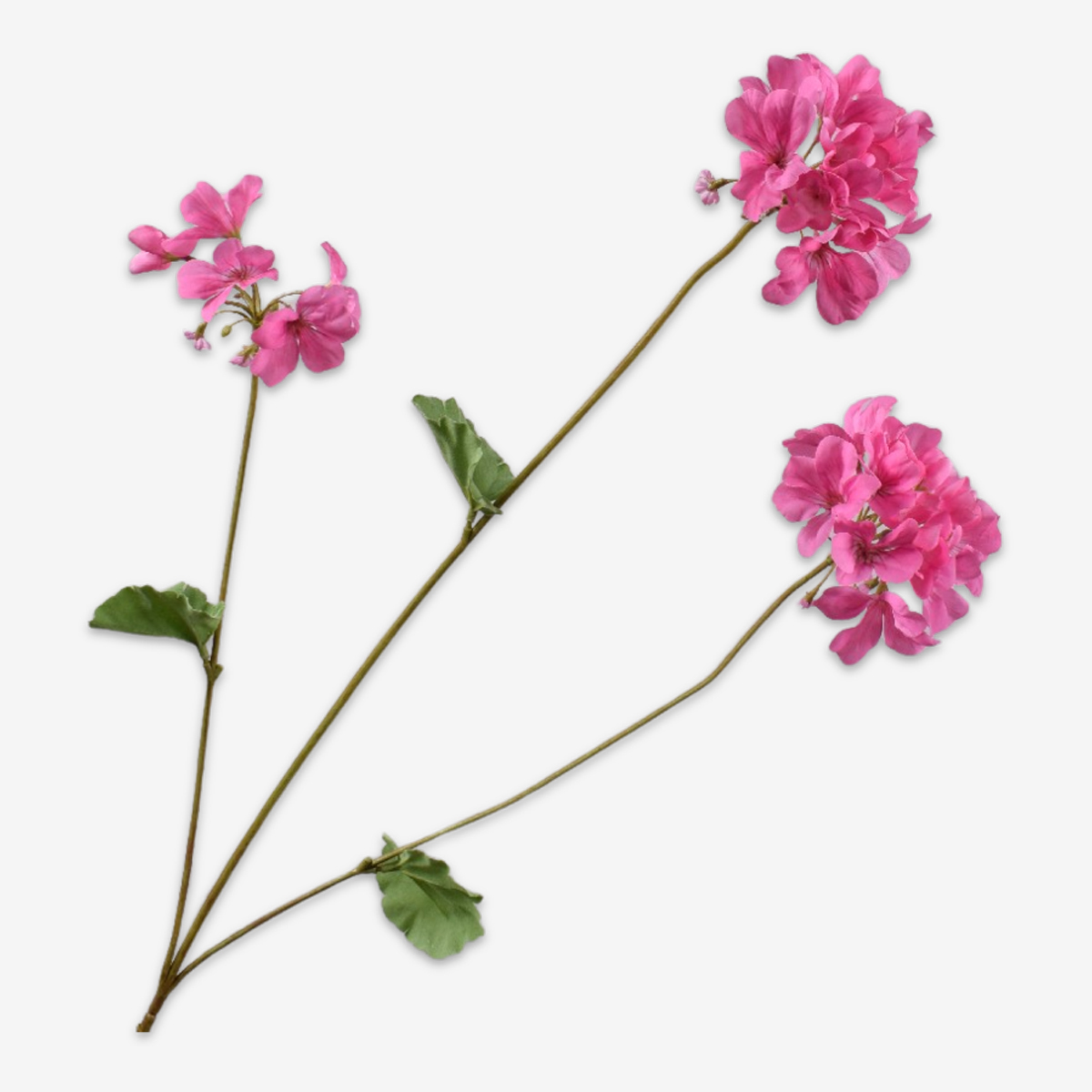 sk zijden bloem geranium roze 160620