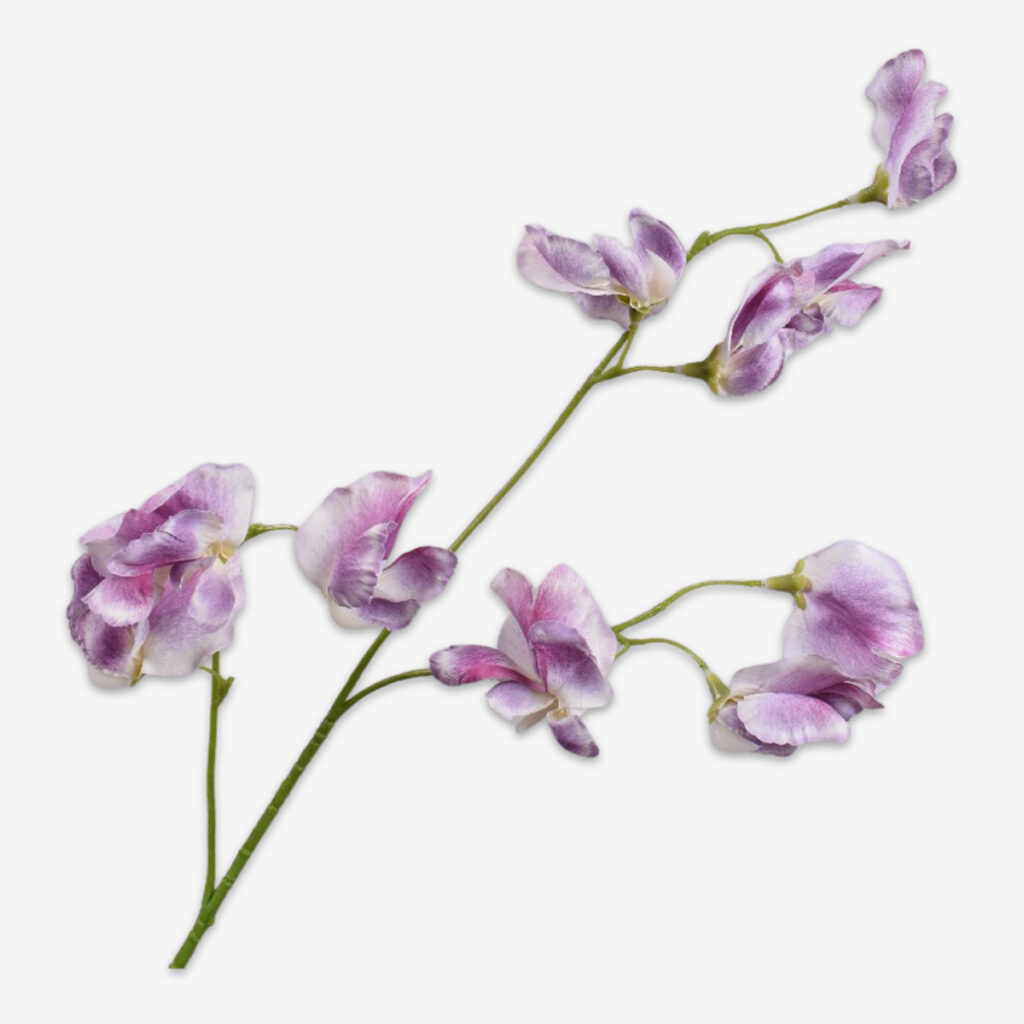 zijden bloem lathyrus fuchsia