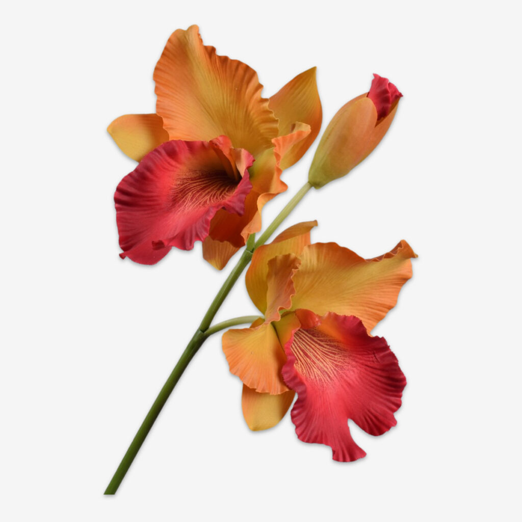 sk zijden bloem cattleya 162042