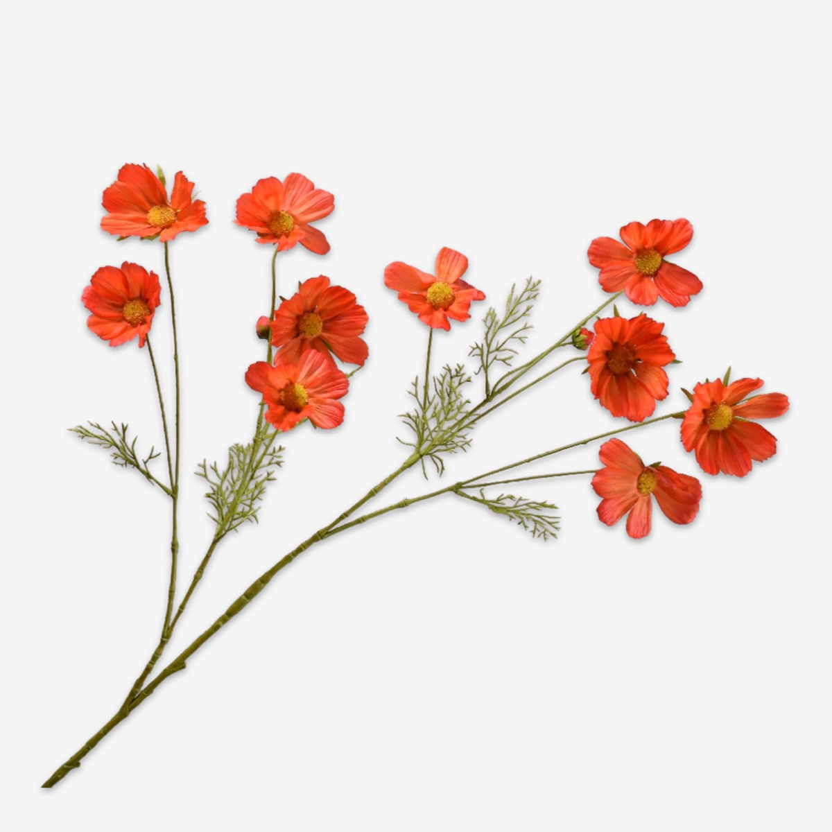 sk zijden bloem cosmos 155008
