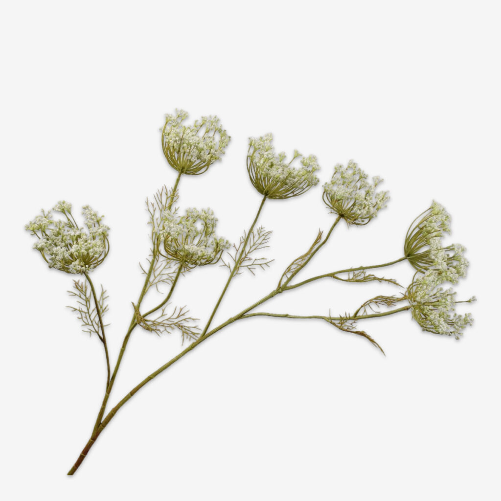 sk zijden bloem dille 160305