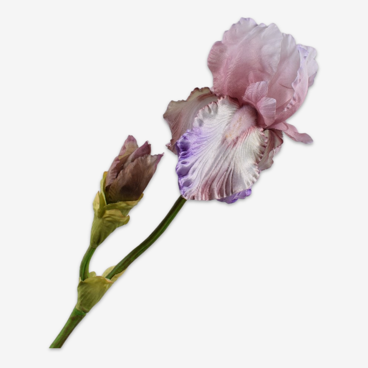 sk zijden bloem iris 160381