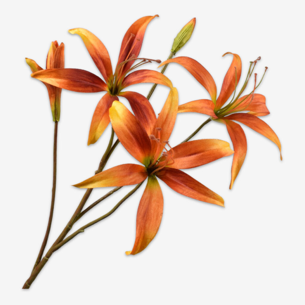 sk zijden bloem lelie 157947
