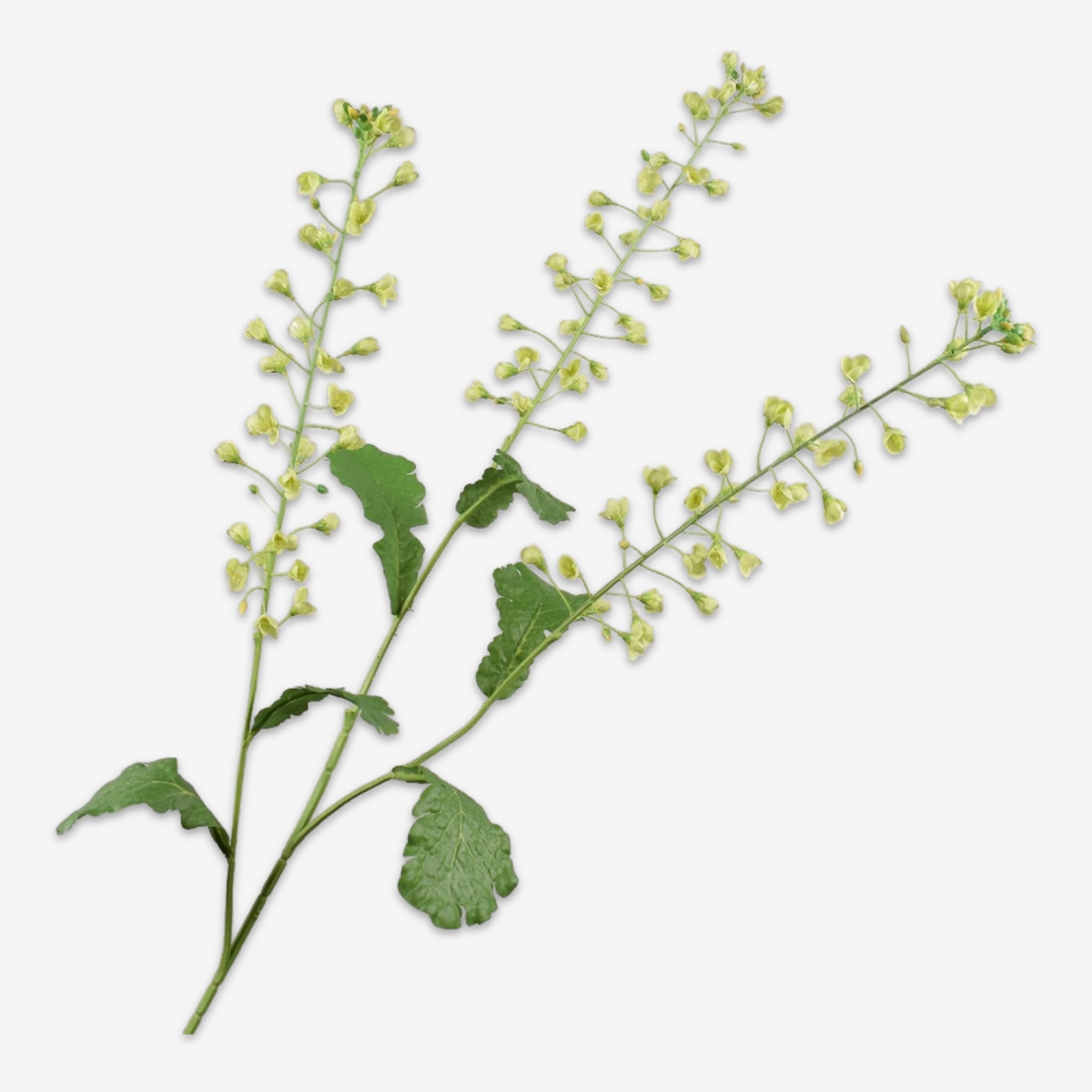 sk zijden bloem primula 149306