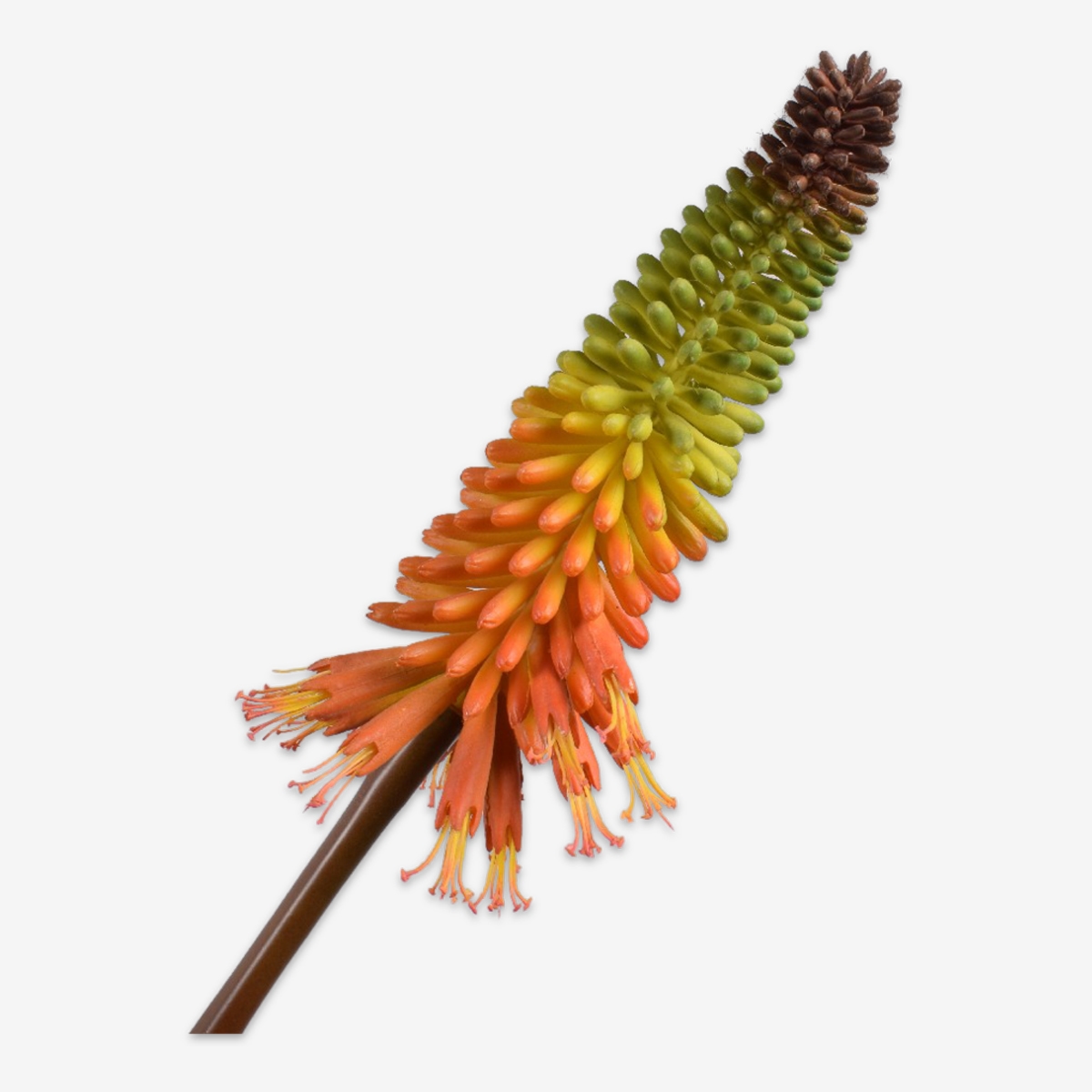 sk zijden bloem vuurpijl 141847