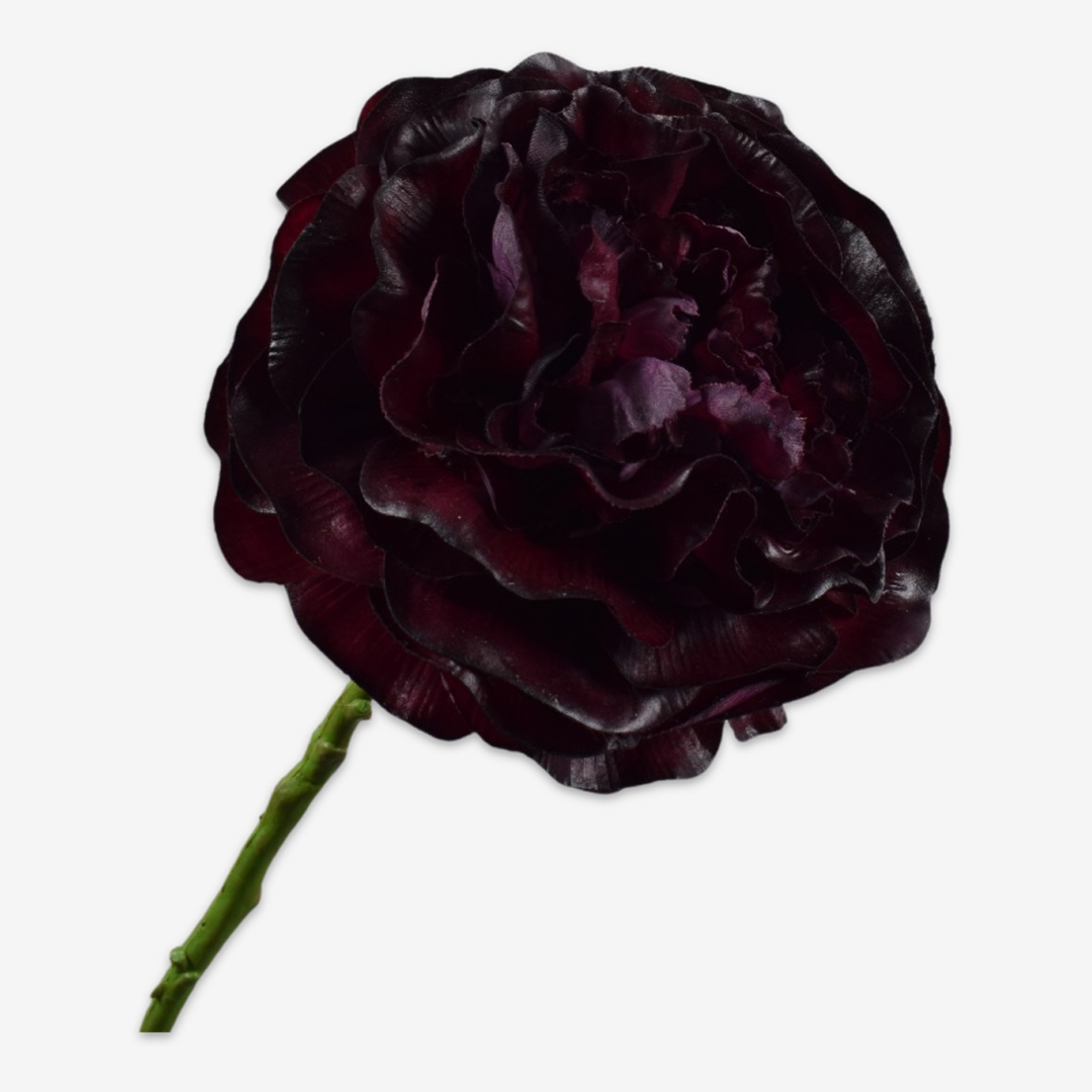sk zijden bloem ranonkel 160243