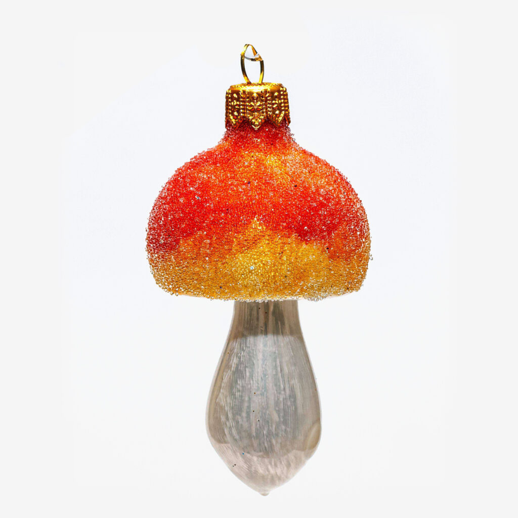 09511 orange mushroom 4605