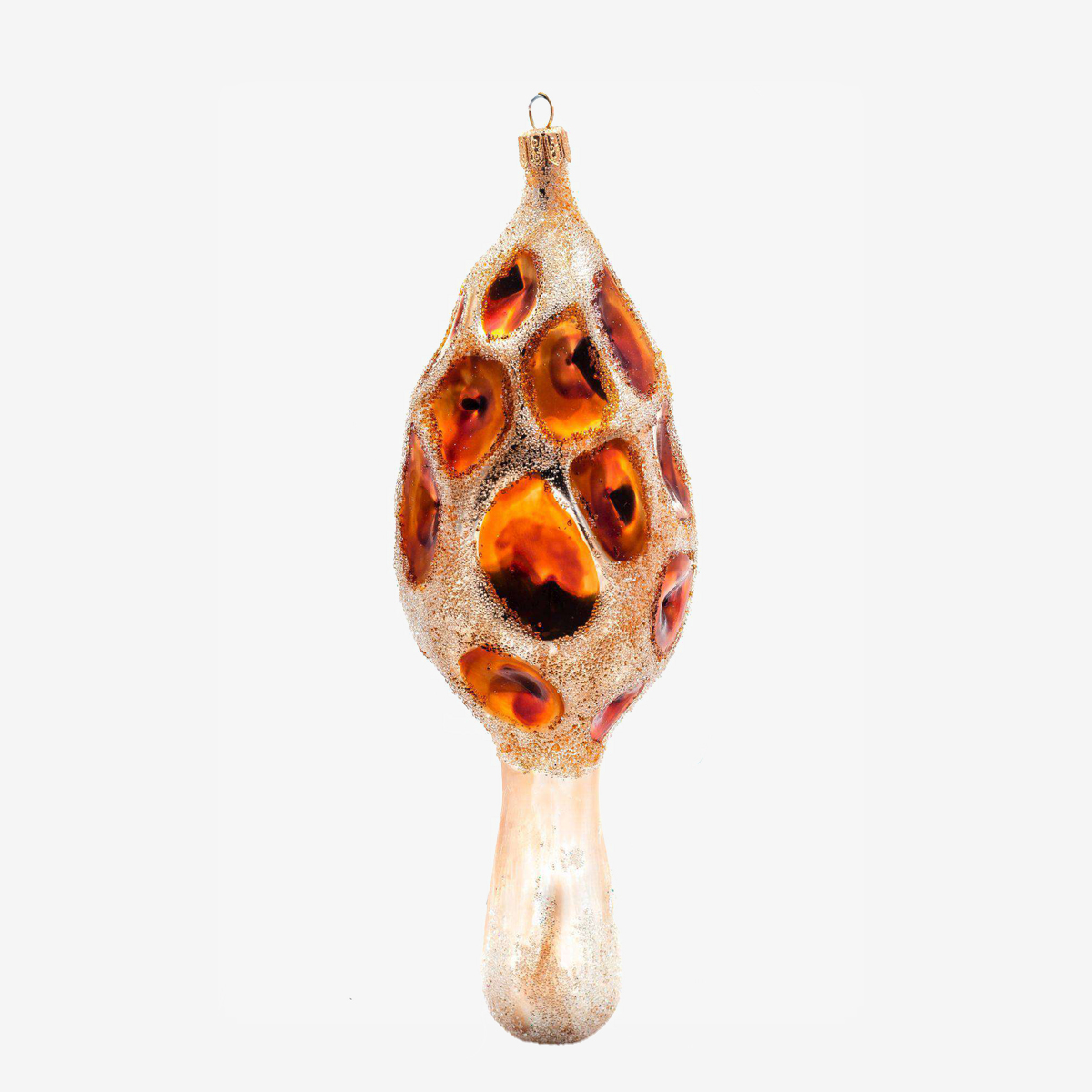 17979 morel mushroom 62339