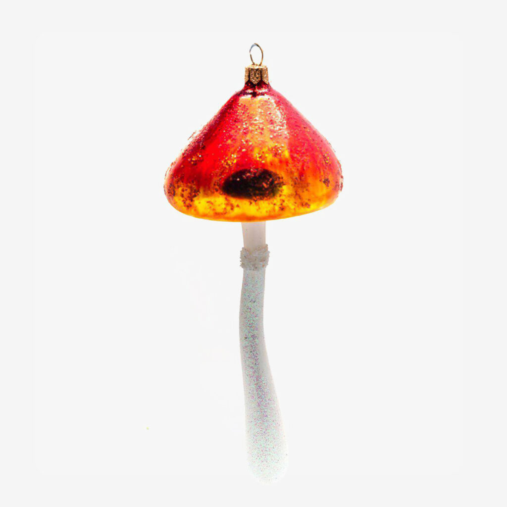 17982 oranje red mushroom 6234