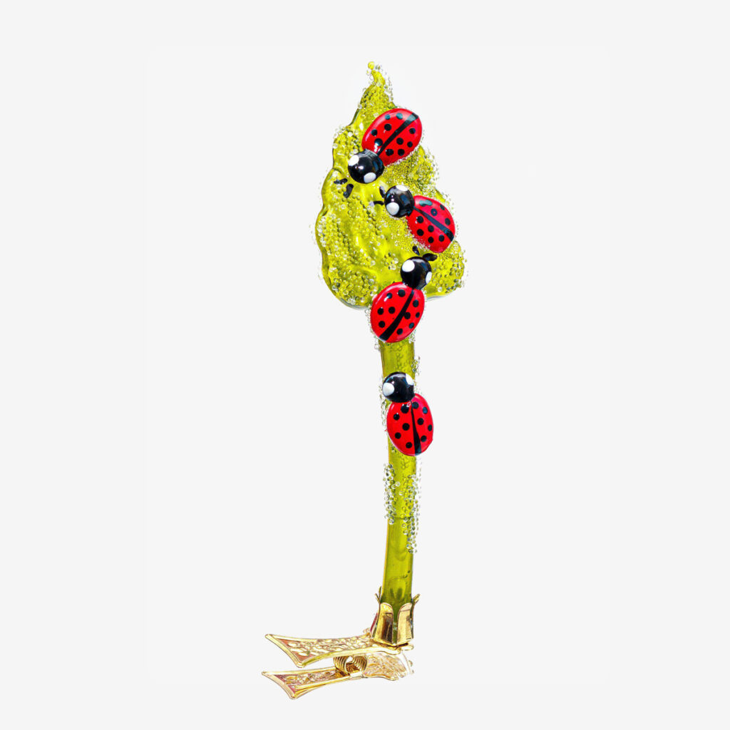 19430 ladybugs on leaf on clip 62285