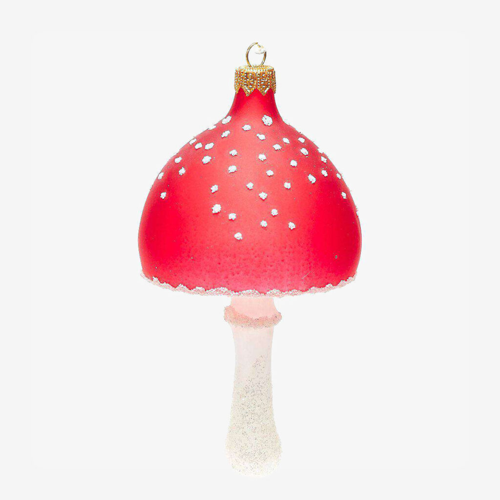 19527 transparent toadstooll mushroom 62377