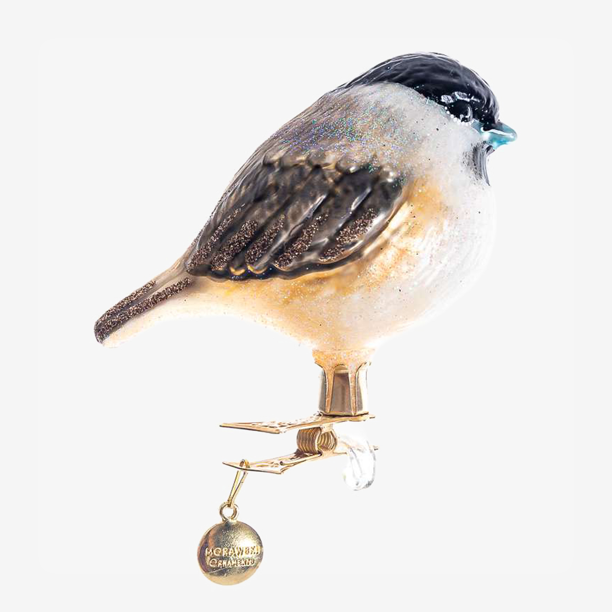 23192 marsh tit on clip 62223