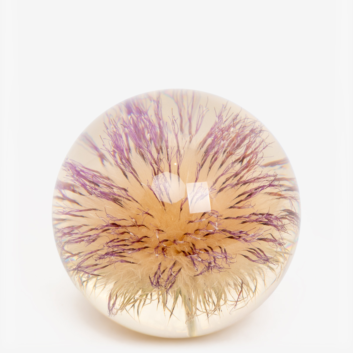 hf paperweight open thistle 55195 1
