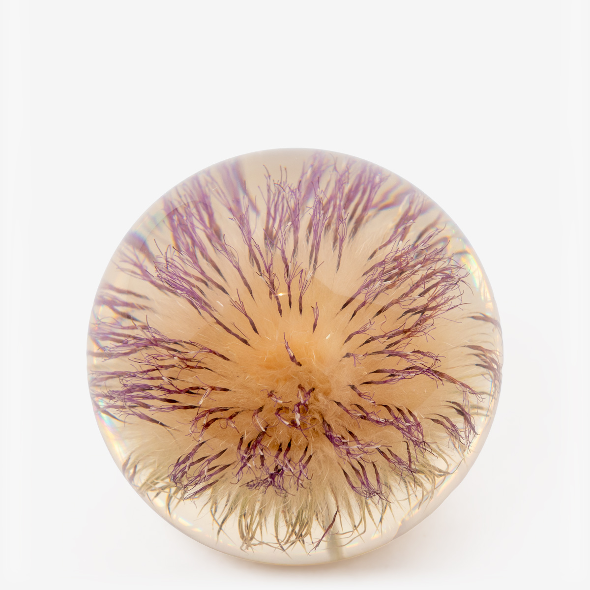 hf paperweight open thistle 55195 2