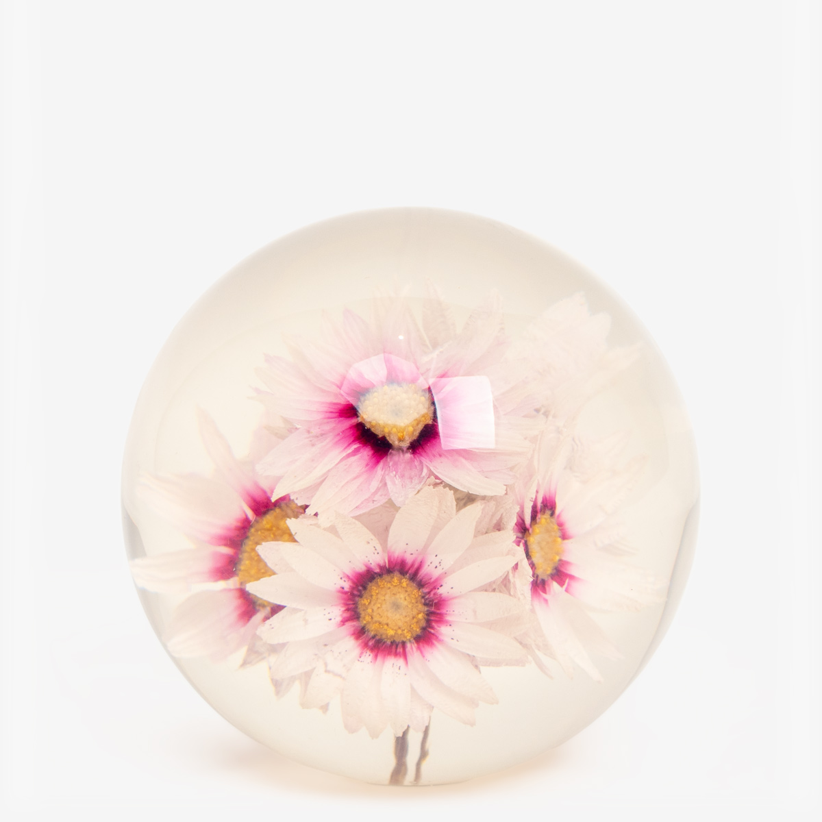 hf paperweight rhodante 55225 1