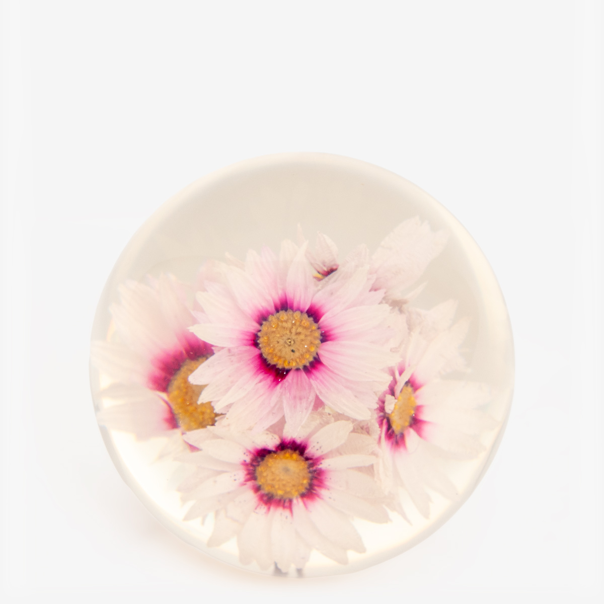hf paperweight rhodante 55225 2